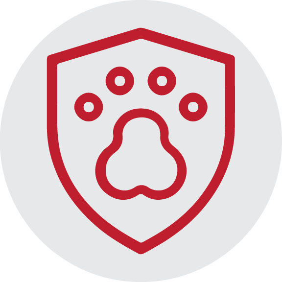 Pet Insurance<br />